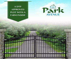 park avenue
